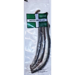 Devon Baits Frozen Whole Lamprey